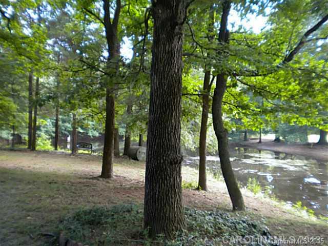 4604 Morgan Mill Rd, Monroe, NC 28110 photo 6