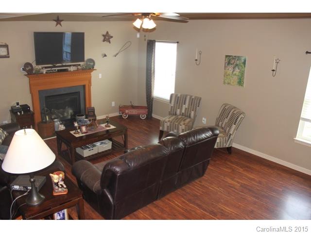 10925 Kingsview Dr, Davidson, NC 28036 photo 3