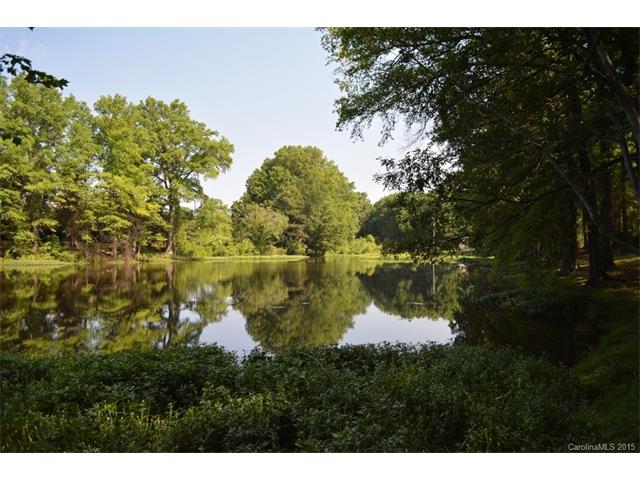 20325 Willow Pond Rd, Cornelius, NC 28031 photo 17