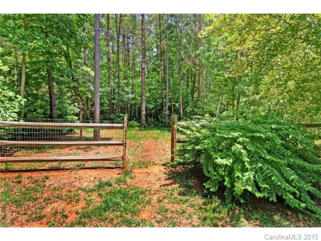 5805 Cedar Run Dr, Denver, NC 28037 photo 22