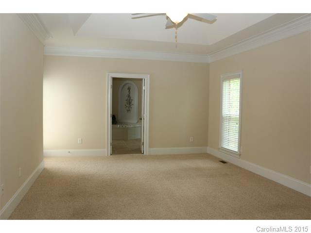 10979 Alabaster Dr, Davidson, NC 28036 photo 12
