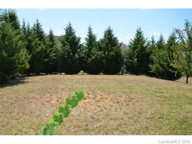 10341 Falling Leaf Dr, Concord, NC 28027 photo 15