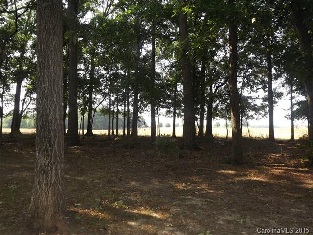 420 Spring Lake Dr, Monroe, NC 28110 photo 19
