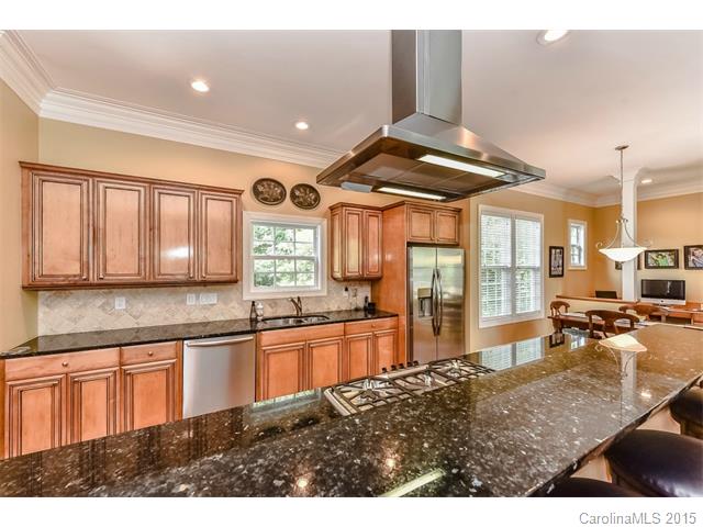 303 Conroy Ave, Davidson, NC 28036 photo 9