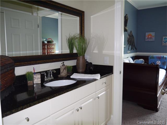 17520 Cotton Baker Ct, Cornelius, NC 28031 photo 24