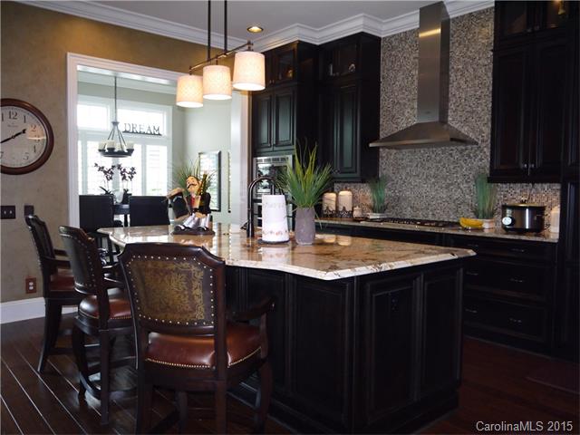 17520 Cotton Baker Ct, Cornelius, NC 28031 photo 9