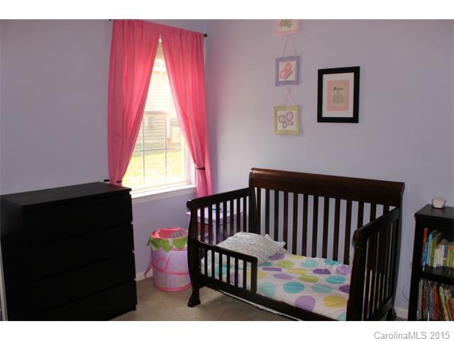 17852 Caldwell Track Dr, Cornelius, NC 28031 photo 14