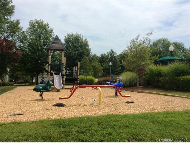 15513 Crossing Gate Dr, Cornelius, NC 28031 photo 23
