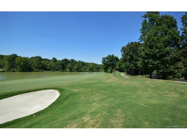 19509 River Falls Dr, Davidson, NC 28036 photo 21