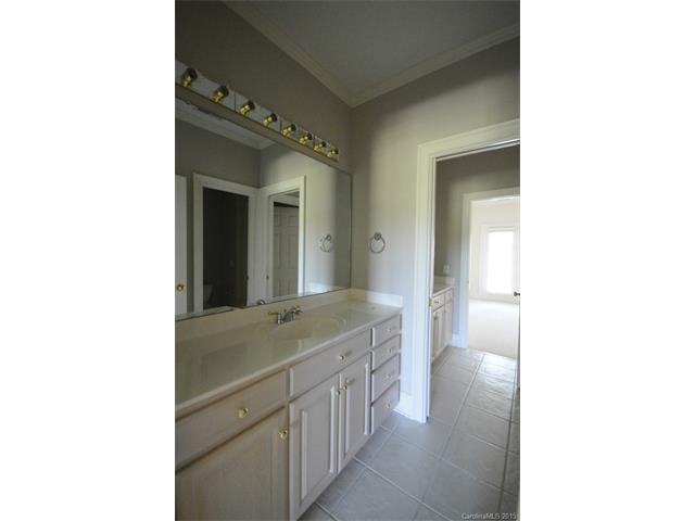 19509 River Falls Dr, Davidson, NC 28036 photo 16