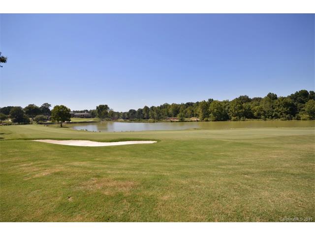 19509 River Falls Dr, Davidson, NC 28036 photo 22