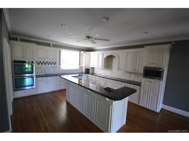 19509 River Falls Dr, Davidson, NC 28036 photo 4