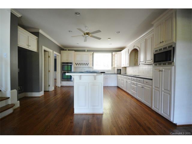 19509 River Falls Dr, Davidson, NC 28036 photo 3