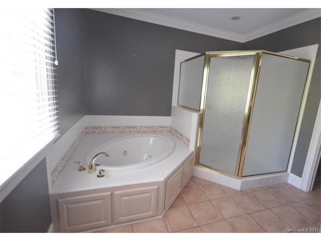 19509 River Falls Dr, Davidson, NC 28036 photo 14