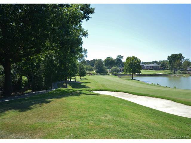 19509 River Falls Dr, Davidson, NC 28036 photo 23