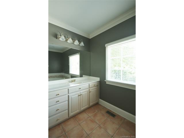 19509 River Falls Dr, Davidson, NC 28036 photo 13