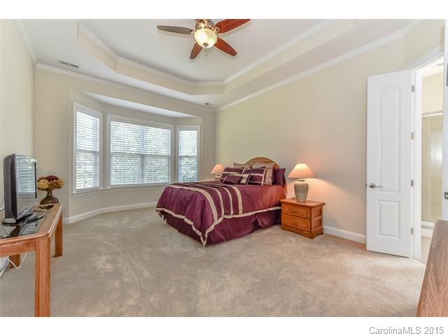 1151 Gold Rush Ct, Fort Mill, SC 29708 photo 13