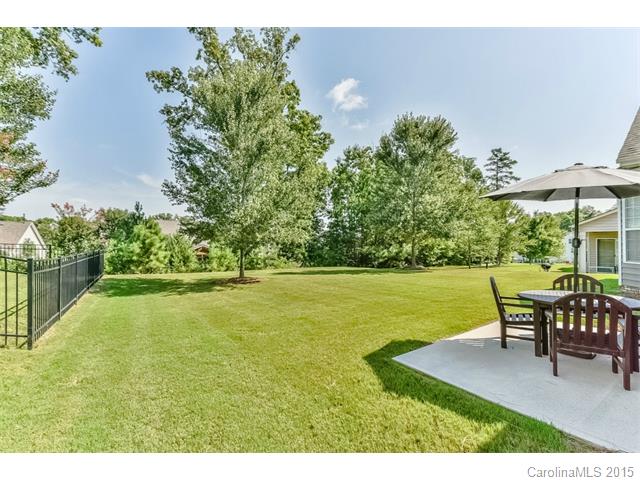 1151 Gold Rush Ct, Fort Mill, SC 29708 photo 2