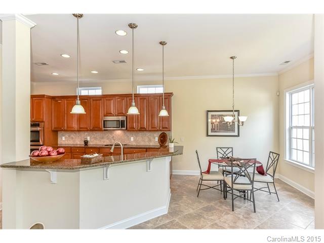 1151 Gold Rush Ct, Fort Mill, SC 29708 photo 6