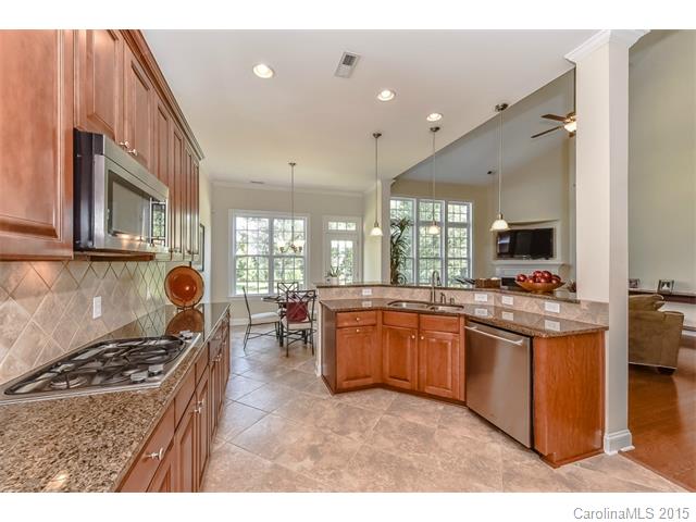 1151 Gold Rush Ct, Fort Mill, SC 29708 photo 8