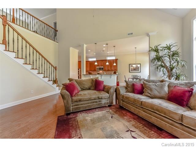 1151 Gold Rush Ct, Fort Mill, SC 29708 photo 3