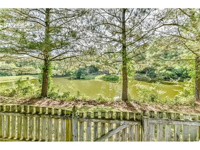 18800 Hammock Ln, Davidson, NC 28036 photo 23