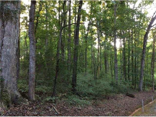 165 Walnut Ridge Ln, Olin, NC 28660 photo 3