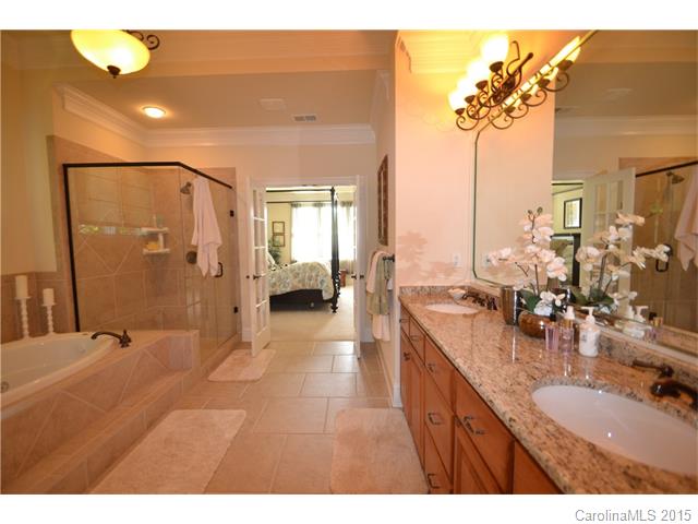 18448 Carnegie Overlook Blvd, Davidson, NC 28036 photo 16