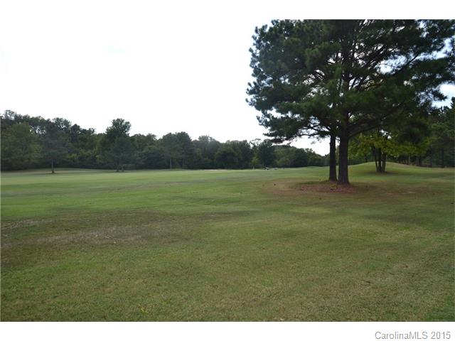 18448 Carnegie Overlook Blvd, Davidson, NC 28036 photo 22