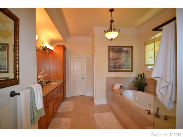 18448 Carnegie Overlook Blvd, Davidson, NC 28036 photo 15