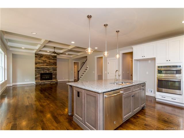 145 Chaska Loop, Troutman, NC 28166 photo 6