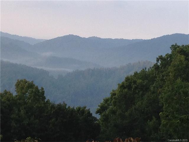 1306 Buchanan Loop, Sylva, NC 28779 photo 19