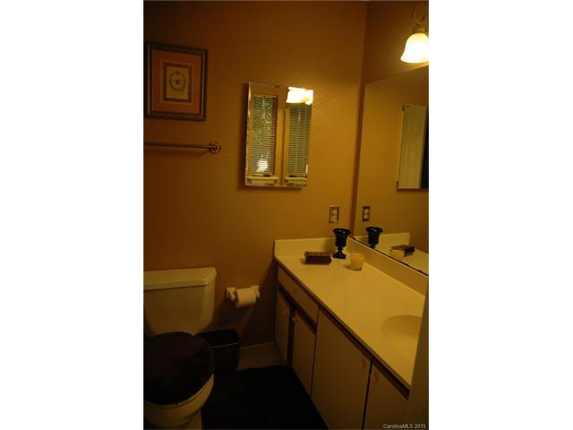 321 Jib Ct, Davidson, NC 28036 photo 10