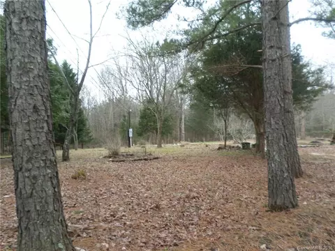 2050 Pinta Dr, Lancaster, SC 29720 photo 6