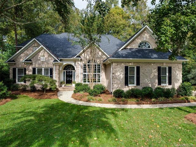 19631 River Falls Dr, Davidson, NC 28036 photo 2