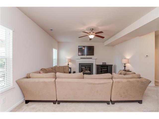 10830 Tailwater St, Davidson, NC 28036 photo 3