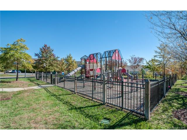 10830 Tailwater St, Davidson, NC 28036 photo 23