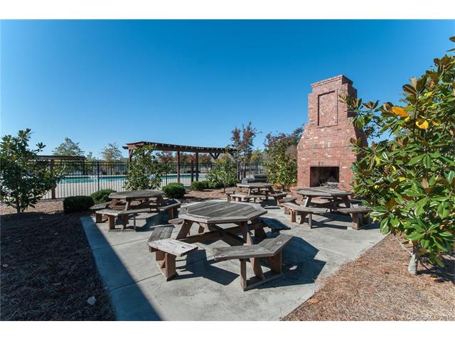 10830 Tailwater St, Davidson, NC 28036 photo 22