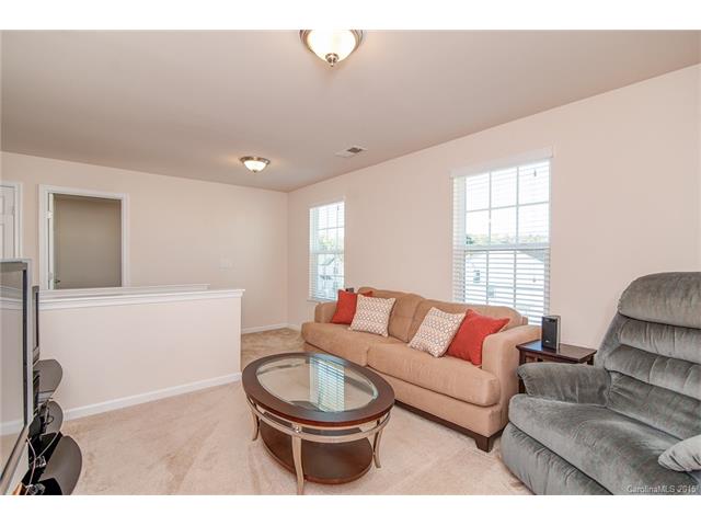 10830 Tailwater St, Davidson, NC 28036 photo 13