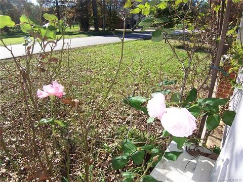 313 E Main St, Lattimore, NC 28089 photo 15