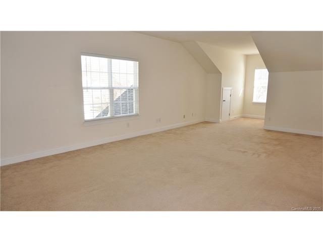 10107 Allison Taylor Ct, Cornelius, NC 28031 photo 16