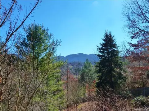 55 Pinecrest Way, Clyde, NC 28721 photo 18