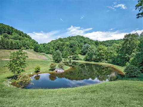 63 Redbud Ln, Clyde, NC 28721 photo 21