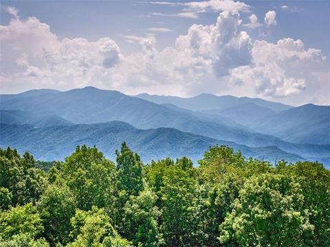63 Redbud Ln, Clyde, NC 28721 photo 24