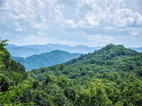 63 Redbud Ln, Clyde, NC 28721 photo 23
