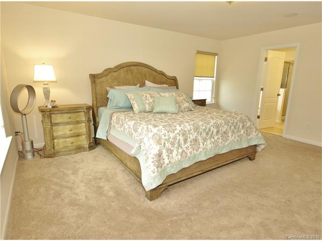 10659 Sapphire Trl, Davidson, NC 28036 photo 16