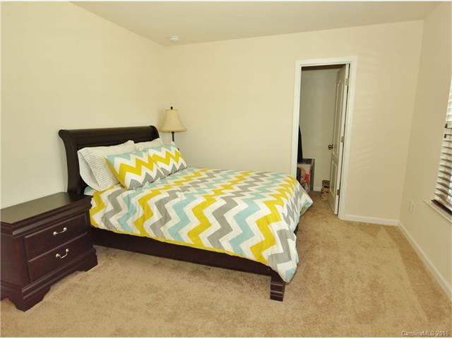 10659 Sapphire Trl, Davidson, NC 28036 photo 19