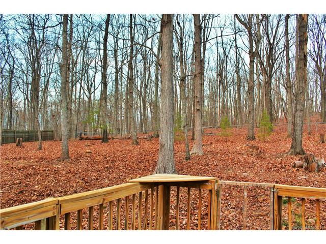1248 Brian Rd, Clover, SC 29710 photo 17
