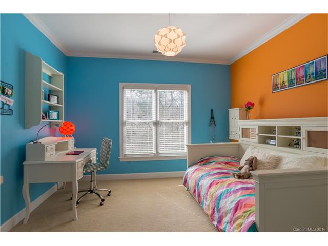 17409 Lynx Den Ct, Davidson, NC 28036 photo 19