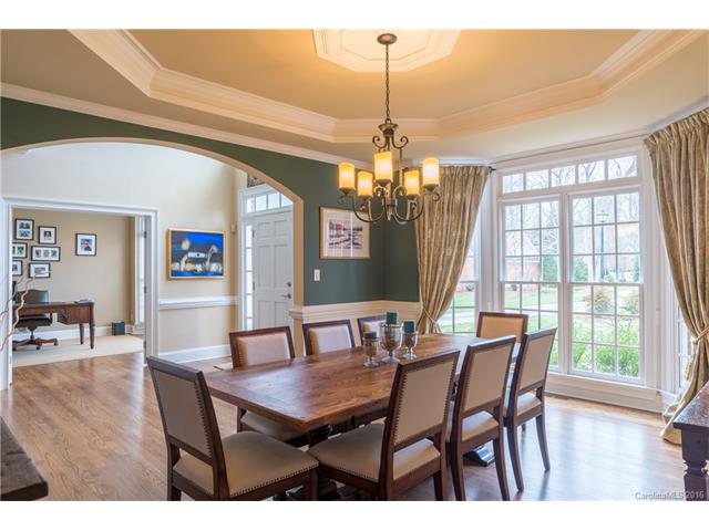 17409 Lynx Den Ct, Davidson, NC 28036 photo 3